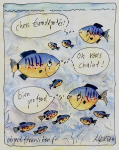 poissons-Achim-Gertz-Objectif-Transition-chalutage-en-eau-profonde-Bloom-Intermarche