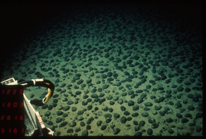 Champ_de_nodules_dans_le_Pacifique_équatorial_nord