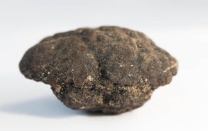 Nodules polymétalliques