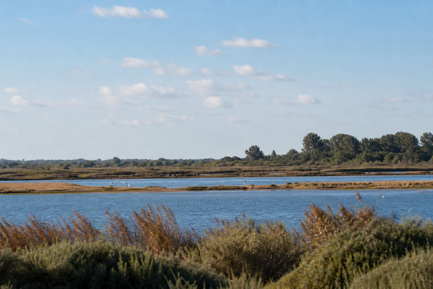 Visiter le Parc du Marquenterre en Baie de Somme : Guide complet